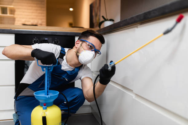 Best Local Pest Control Services  in Vandalia, OH