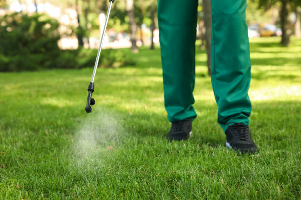 Trusted Vandalia, OH Pest Control Experts