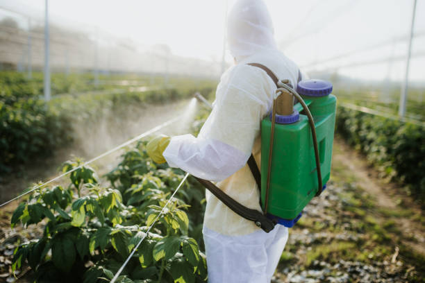 Best Best Pest Control Companies  in Vandalia, OH